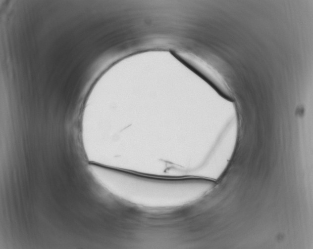 X0000116391392201001131821