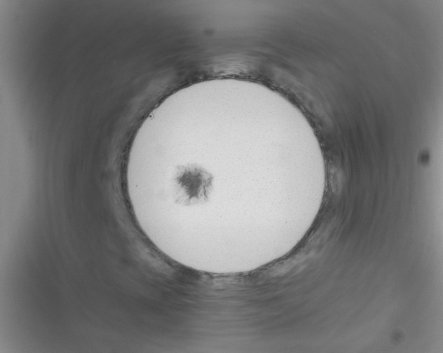 X0000116391393201001131820