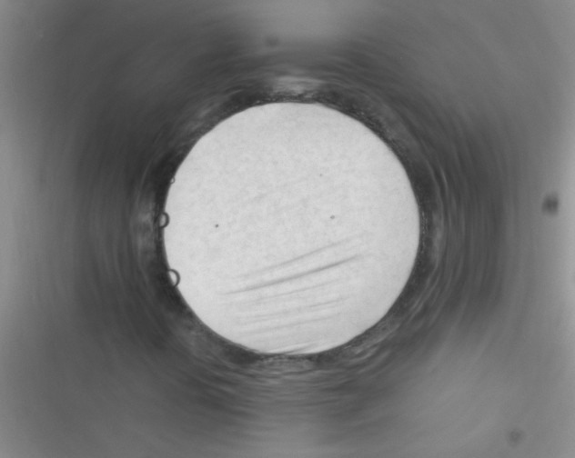 X0000116391394201001131820