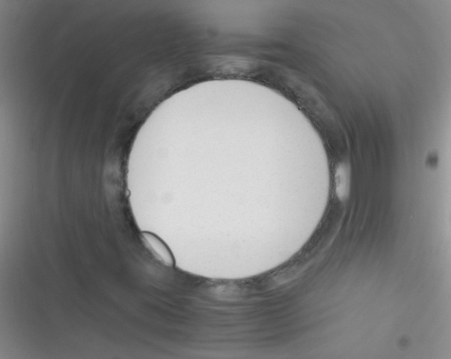 X0000116391395201001131820
