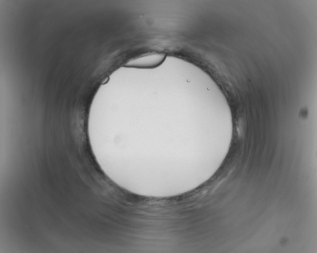 X0000116391396201001131820