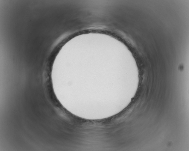 X0000116391400201001131820