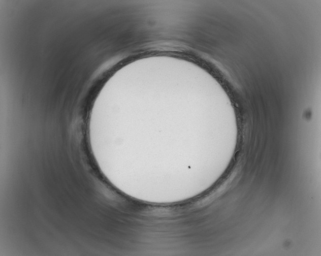 X0000116391402201001131820