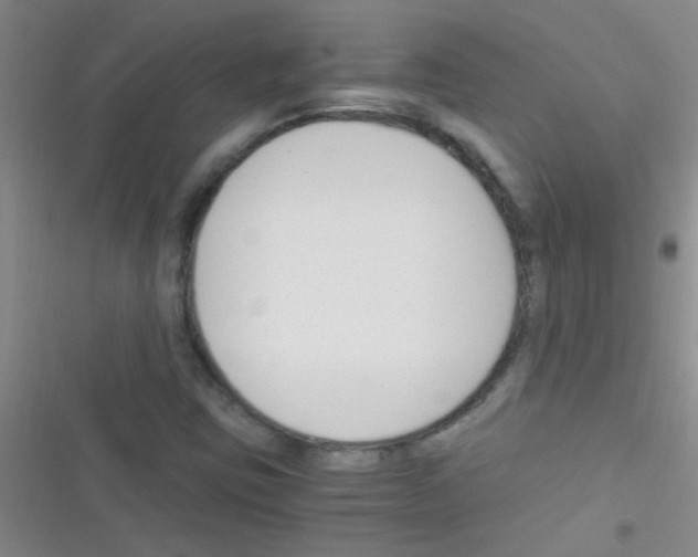 X0000116391403201001131820