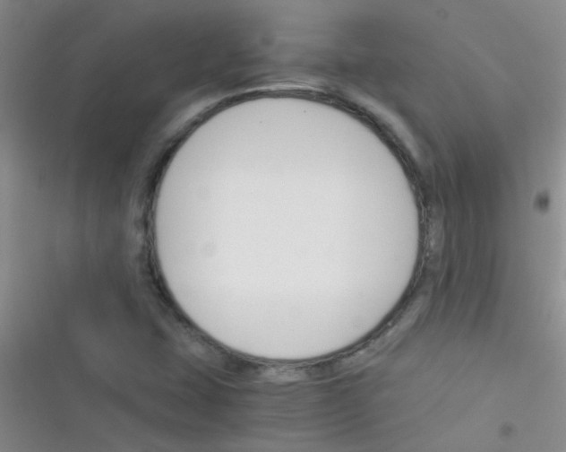 X0000116391407201001131820