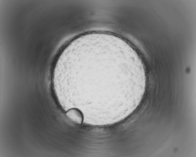 X0000116391408201001131820