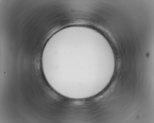 X0000116391409201001131820