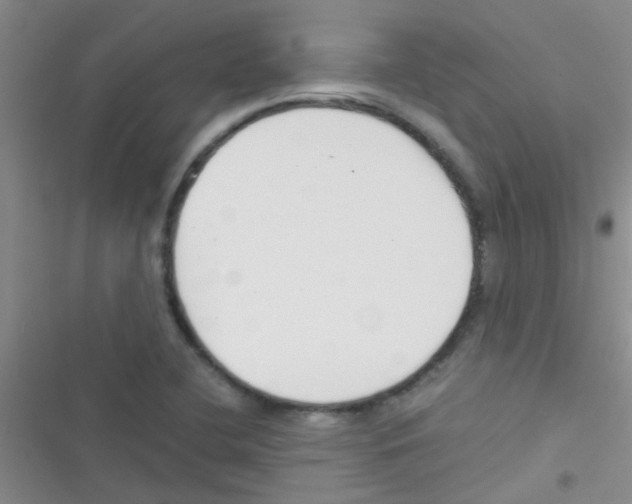 X0000116391412201001131820