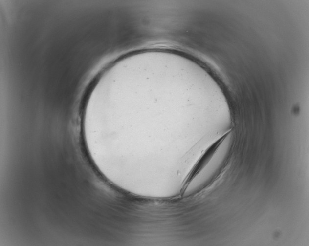 X0000116391414201001131820