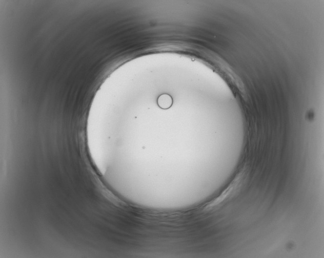 X0000116391417201001131820