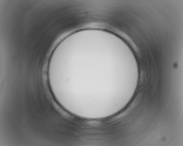 X0000116391421201001131820