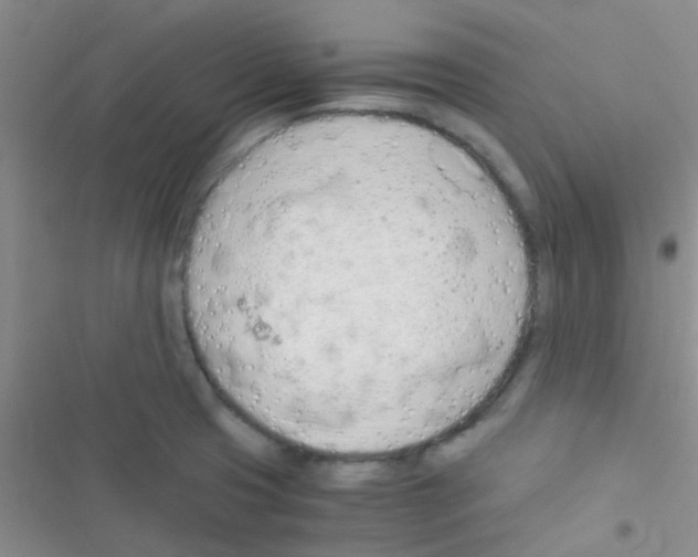 X0000116391425201001131820