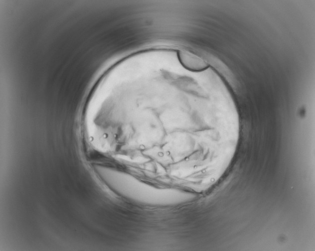 X0000116391428201001131820