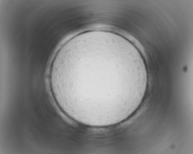 X0000116391429201001131820
