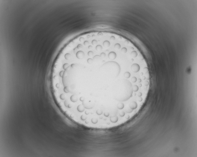 X0000116391432201001131820