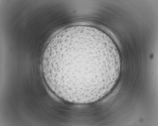 X0000116391433201001131820