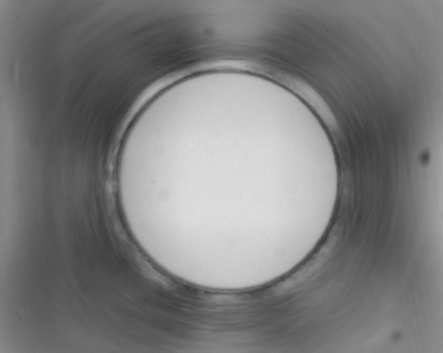 X0000116391436201001131820