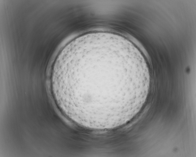 X0000116391437201001131820