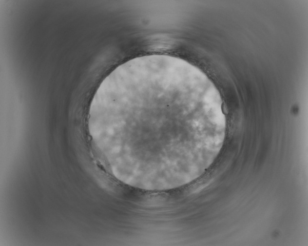 X0000116391441201001131820