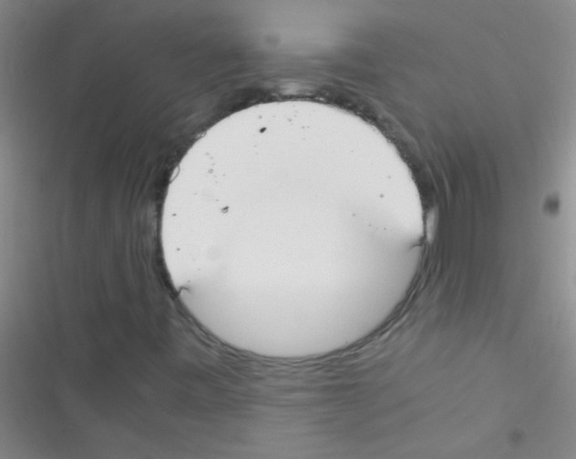 X0000116391443201001131820