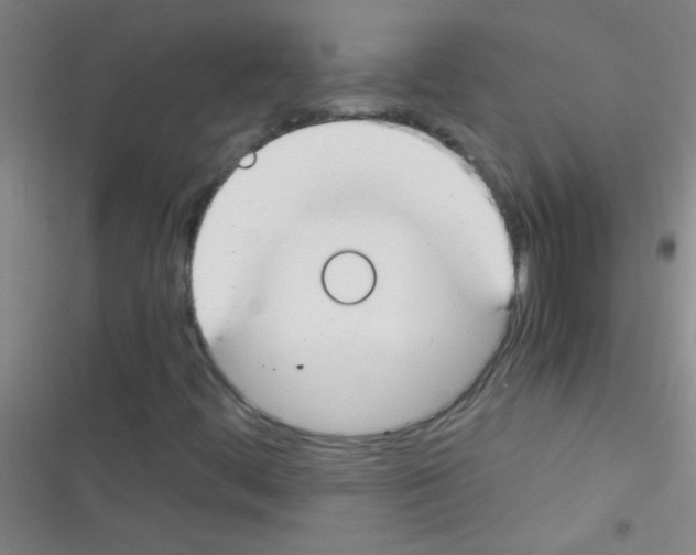 X0000116391444201001131820