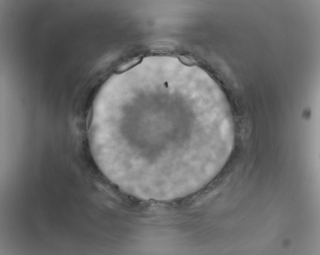 X0000116391445201001131820
