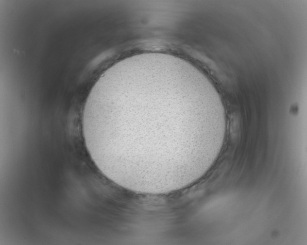 X0000116391446201001131820