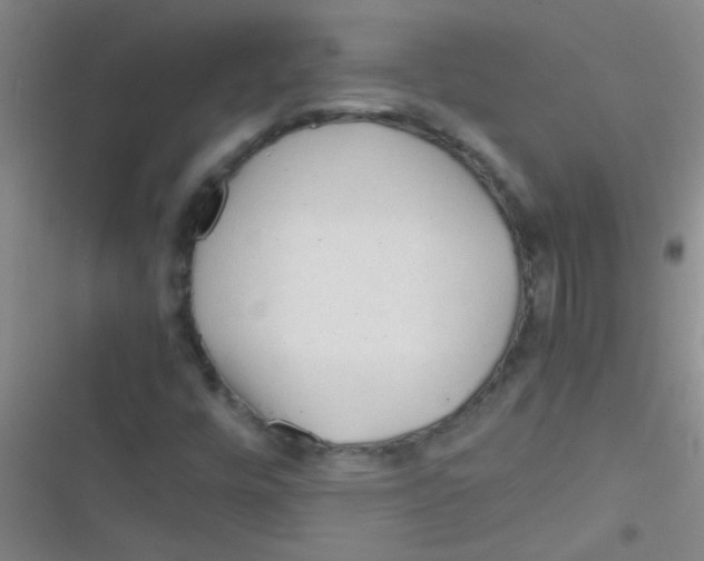 X0000116391448201001131820