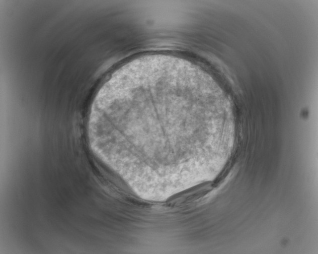 X0000116391449201001131820