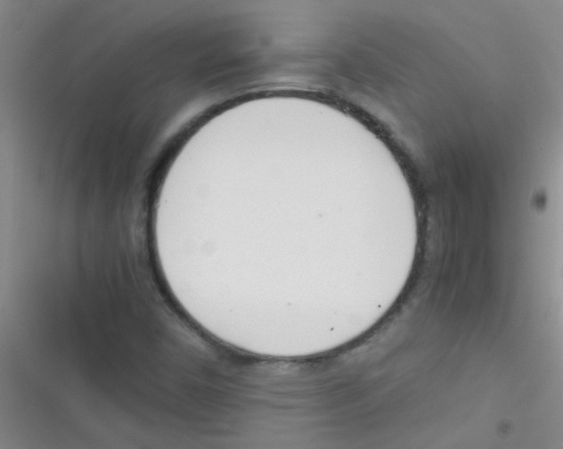 X0000116391450201001131820