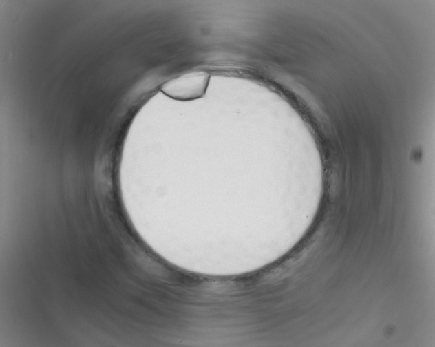 X0000116391451201001131820