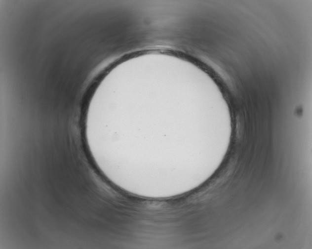 X0000116391452201001131820