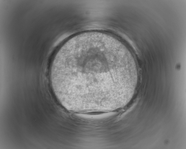 X0000116391453201001131820