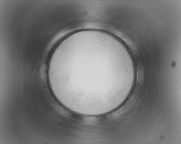 X0000116391454201001131820