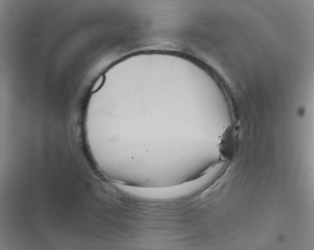 X0000116391455201001131820
