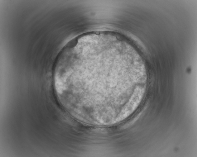 X0000116391457201001131820
