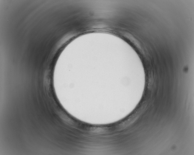 X0000116391458201001131820