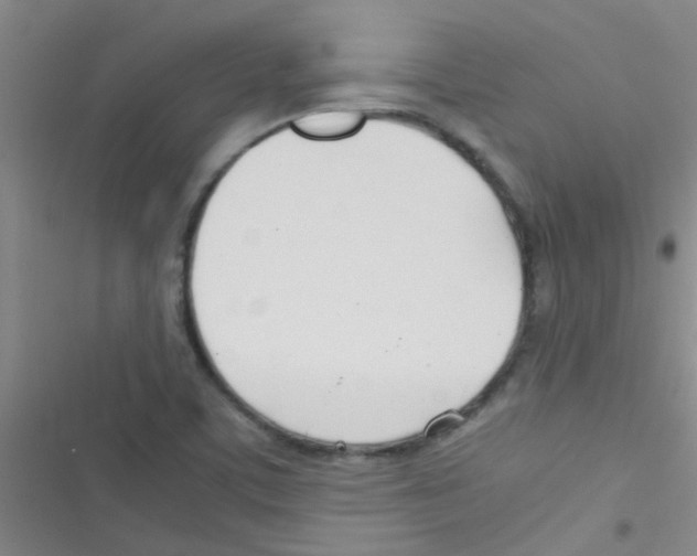 X0000116391459201001131820