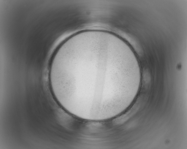 X0000116391462201001131820