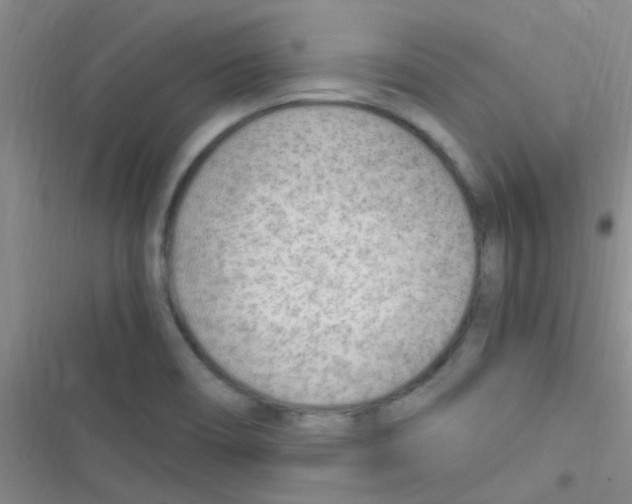 X0000116391466201001131820