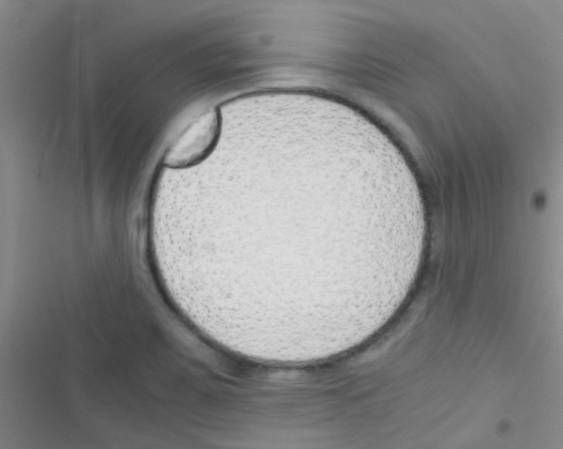 X0000116391467201001131820