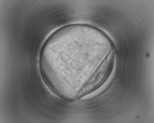 X0000116391468201001131820