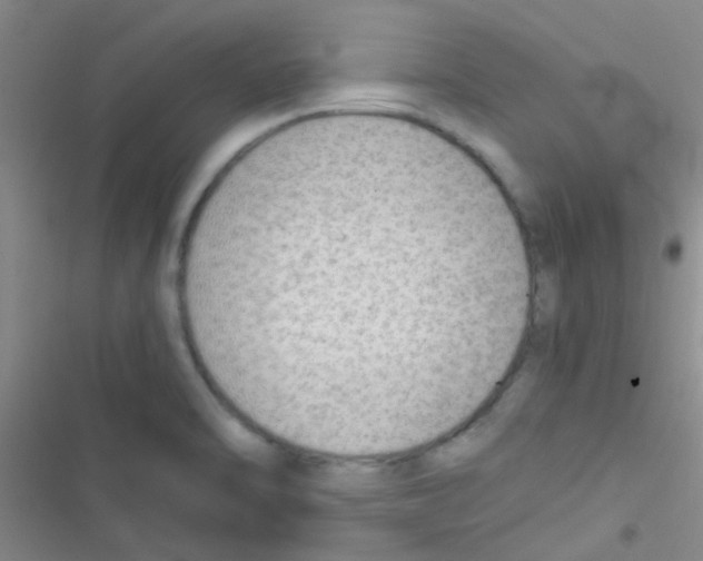 X0000116391470201001131819