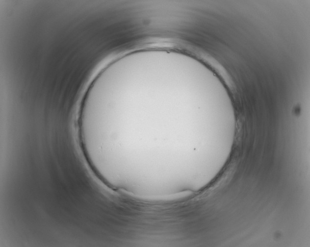 X0000116391475201001131819