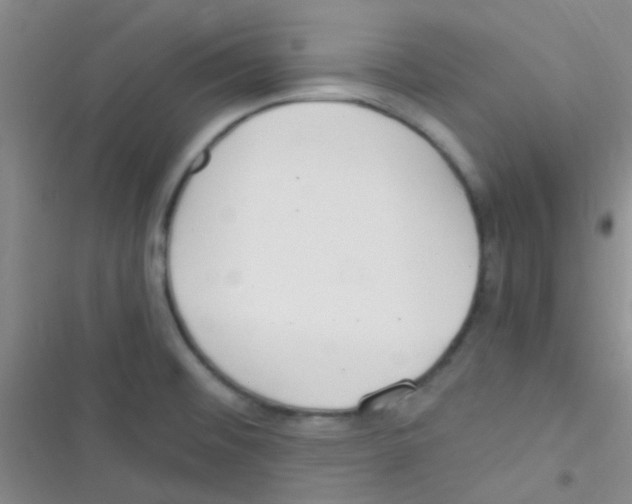 X0000116391476201001131819
