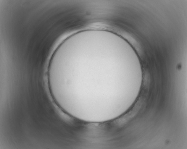 X0000116391478201001131819