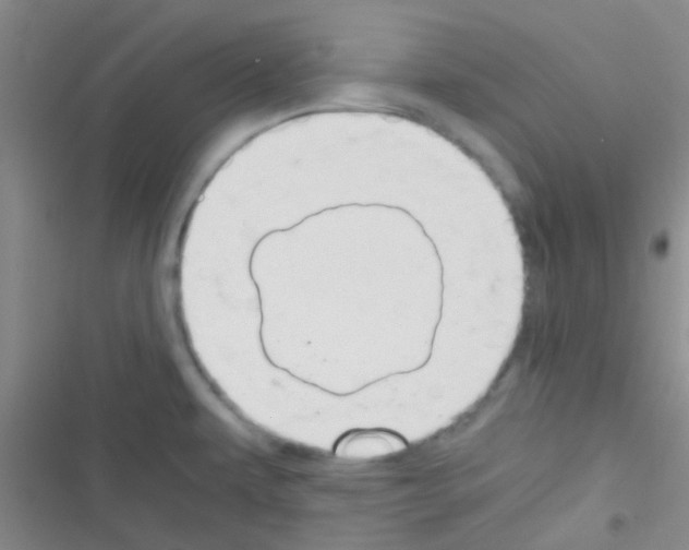 X0000116391479201001131819