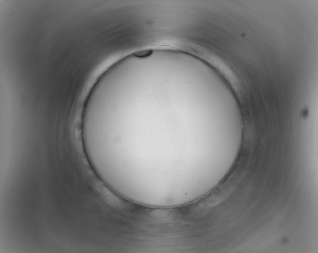 X0000116391480201001131819