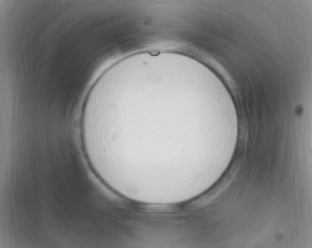 X0000116391487201001131819