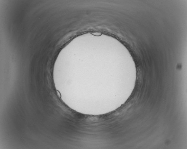 X0000116391489201001131819